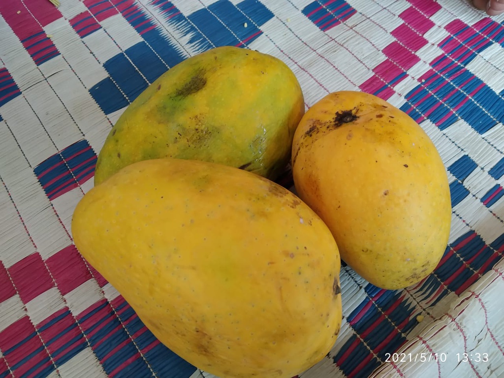 Mango/आम(1kg)Normal Quality