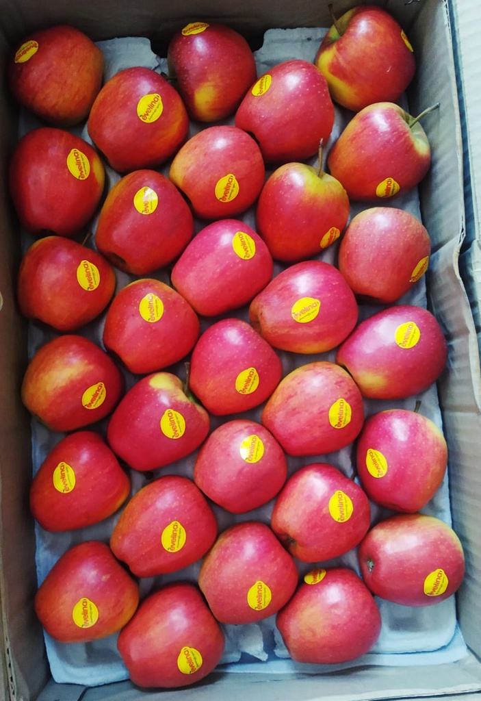 Apple Evelina/सेब ( 500g)