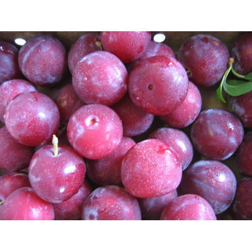 Aalu Bukhara / आलू बुखारा [Top Quality] (250g)