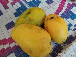 Mango/आम(1kg)Normal Quality