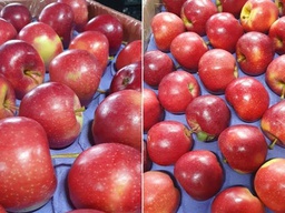 Apple Turkey /सेब ( 500g)