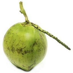Coconut Water /नारियल पानी (1 piece)