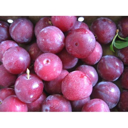 Aalu Bukhara / आलू बुखारा [Top Quality] (250g)