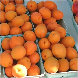 Apricot/ खुमानी (700g Pack)